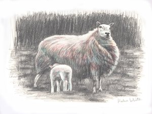 Trots, 2016 door Helen White