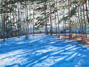 Sneeuwrijke Rug, 2009