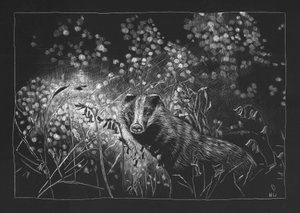 Lente das, 2023 door Helen White