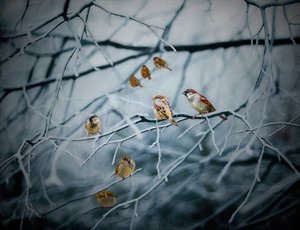 Teeming with Life, 2019 door Helen White