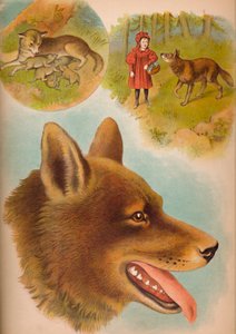 De wolf, c1900