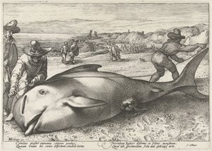 Gestrande griend op het strand bij Zandvoort, 1594 door Hendrick Goltzius (workshop of)