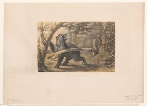 Beer in een val door Hendrik Adriaan Christiaan Dekker