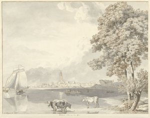 Gezicht over de Rijn op Rhenen