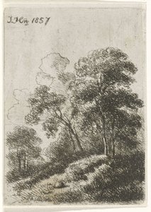 Bomen op een heuvel door Hendrik Jan Hein