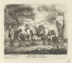 Voeren van het paard