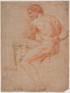 Mannelijk modelstudie