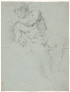 Mannelijke modelstudie