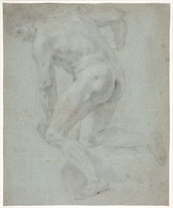Mannelijke Modelstudie