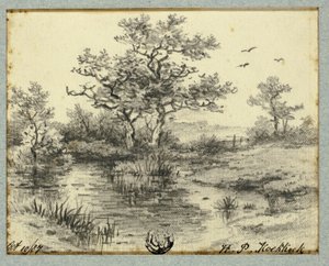Bomen bij vijver