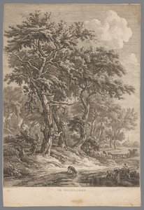 Landschap bij Zuidlaren door Hendrik Schwegman