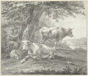 Twee koeien en twee schapen onder een boom bij een schuur