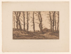 Oud Blaricummerweg door Hendrik Weegewijs (signed by artist)
