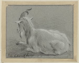 Liggende geit door Hendrik Willem Schweickhardt (signed by artist)