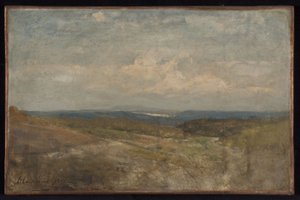 Landschap van heuvels