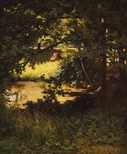 Een zomerdag aan de rivier