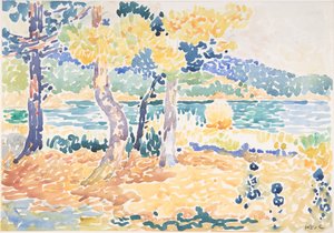 Pijnbomen aan de kust, n.d.