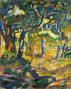 Een open plek in de Provence (studie)