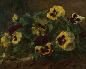Viooltjes, 1903