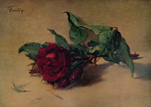 Rode roos, ca. 1864, 1938