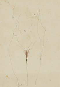 Vrouwelijk Naakt Torso
