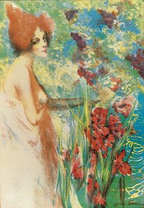 Meibloem