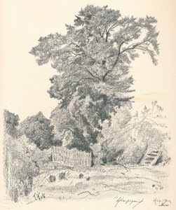 Studie van Bomen, ca. 1839-1898, 1898