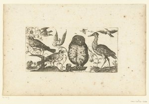 Negen vogels en een insect