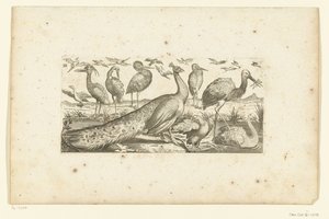 Negentien vogels