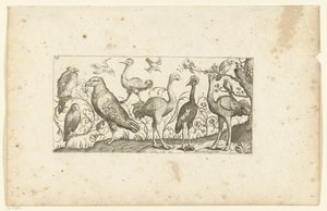 Twaalf vogels (Vogels)