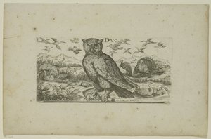 Uil en andere vogels door Henri Le Roy