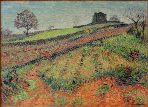 Landschap