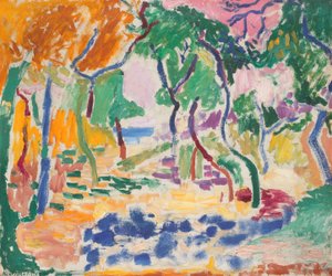  door Henri Matisse