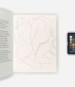 Poëzie door Henri Matisse