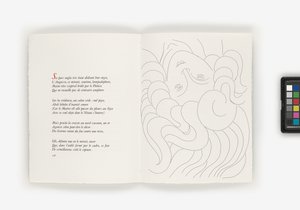 Poëzie door Henri Matisse