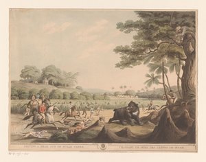 Berenjacht in India door Henri Merke