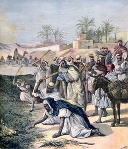 De sprinkhanenplaag, Algerije, 1891