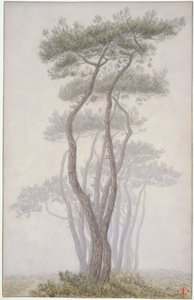  door Henri Rivière
