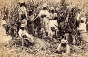 Suikerrietsnijders, Jamaica door Henri S. Duperly