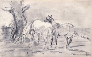 Paarden