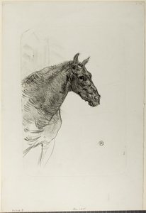 Philibert de pony
