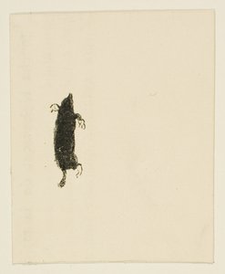 Vignet uit Au Pied du Sinaï door Henri de Toulouse-Lautrec