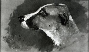 Hoofd van een hond met korte oren door Henri de Toulouse Lautrec