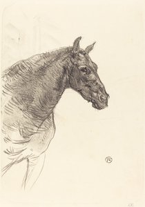 Oud Paard door Henri de Toulouse Lautrec