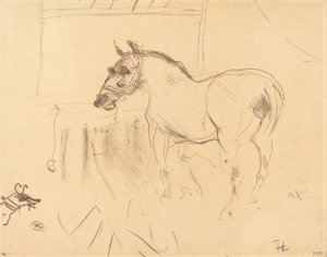 De Kleine Pony van Calmese