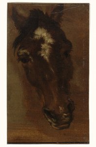 Paardenhoofd door Henriëtte Ronner