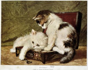 Folatrerie (kittens)