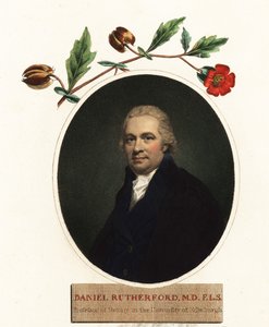 Portret van Daniel Rutherford, botanicus door Henry (after) Raeburn