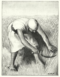 Oogsten in het Oosten door Henry Andrew Harper