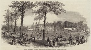 Vrede, Gematigdheid en Verbond van Universele Broederschap Festival, in Hartwell, Bucks door Henry Anelay